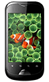 Micromax A80