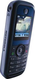 Motorola W205
